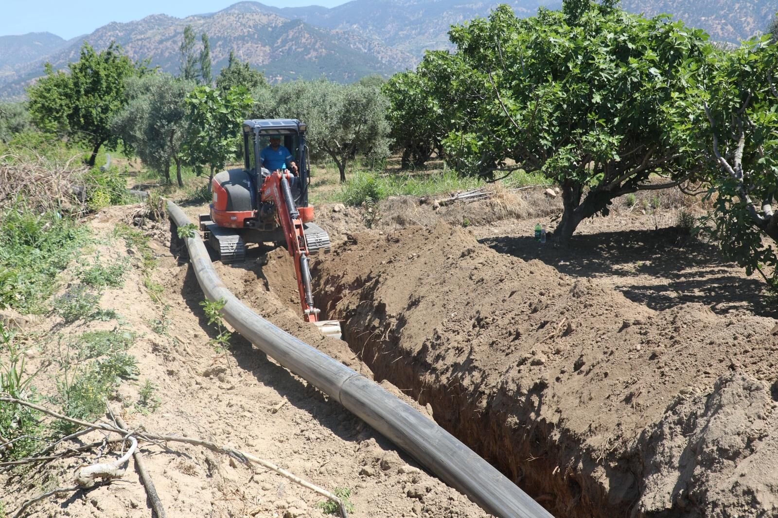 Fotoğraf (6)-12