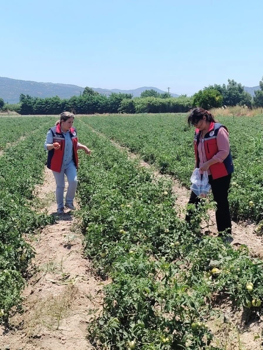 A W737341 05
