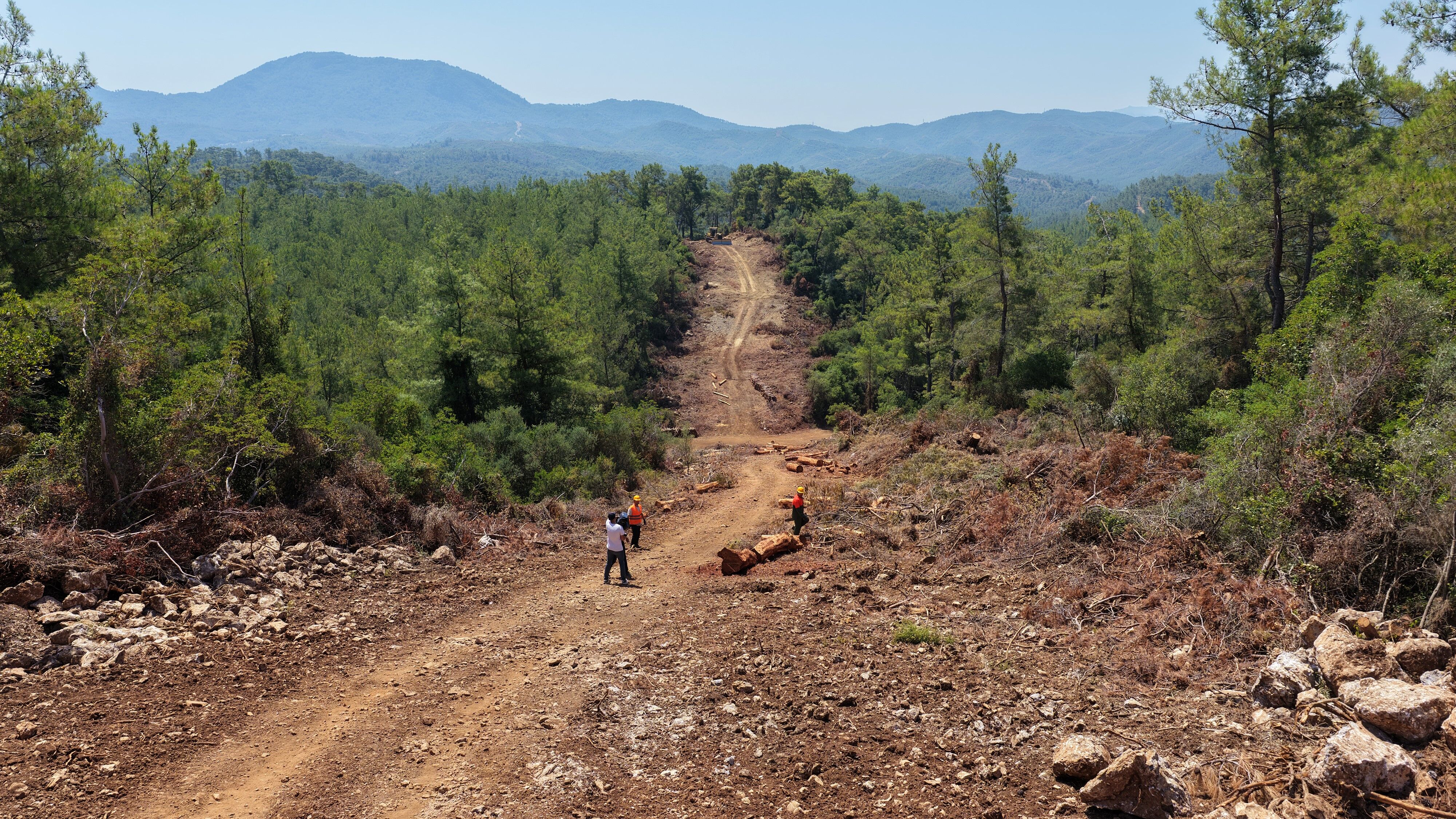 A W738215 02