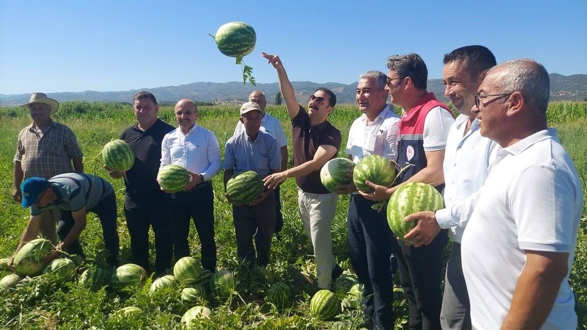 Aydın’ın Meşhur Karpuzunda Hasat Heyecanı (2)