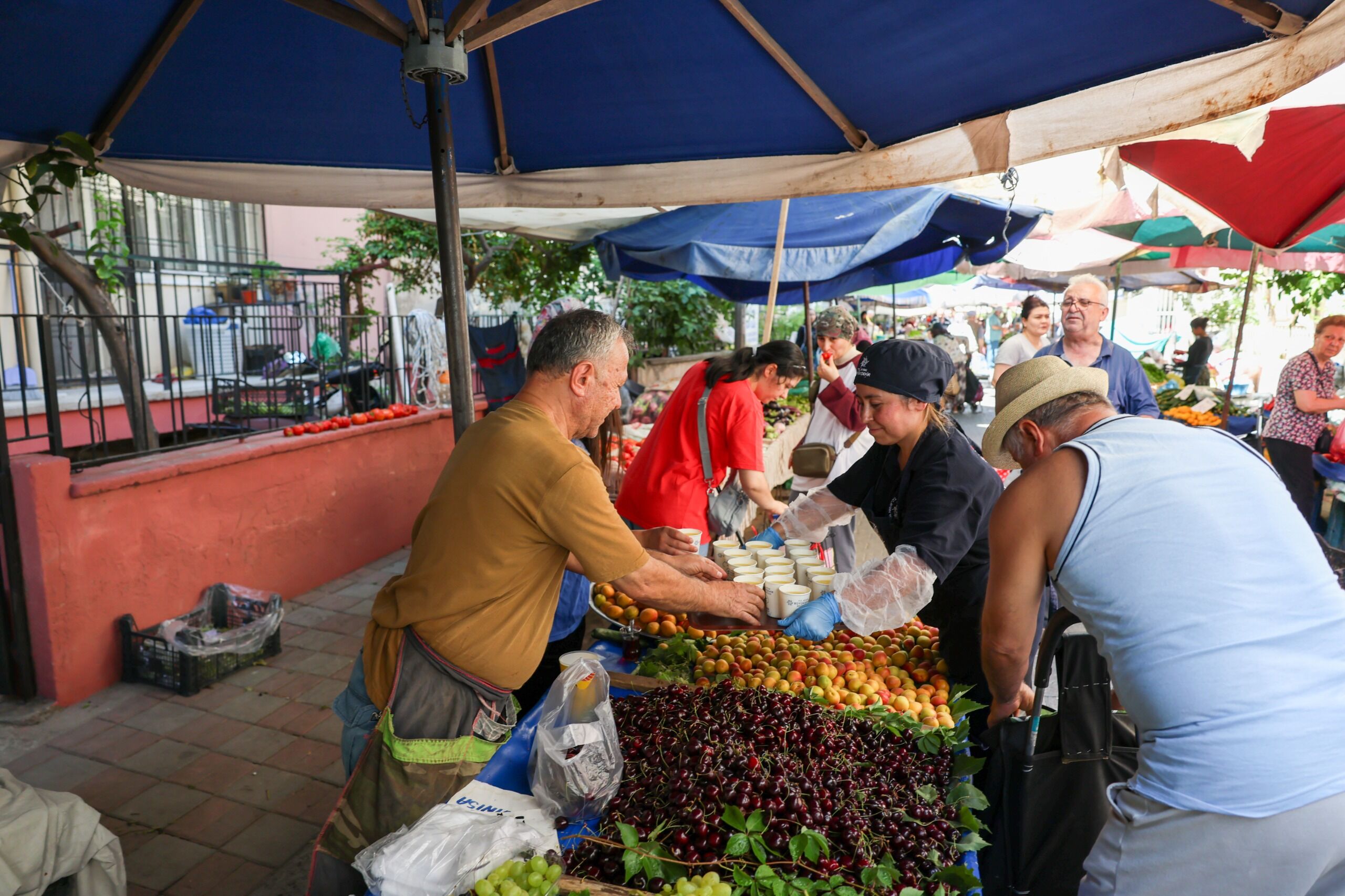 Fotoğraf (11)-11