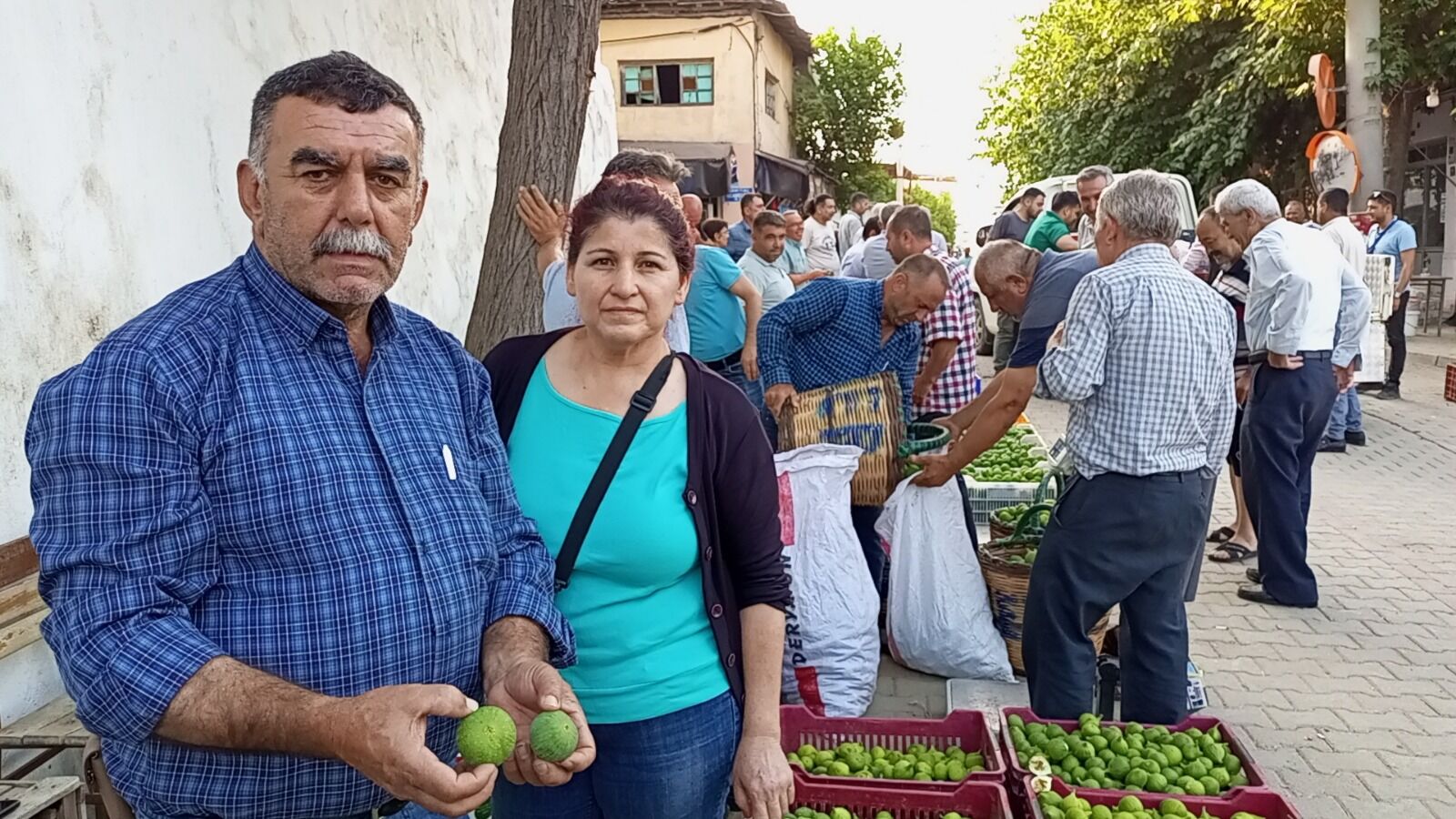 Kuyucak'ta 52 yıldır iğlek mesaisi: Gürlay ailesi yarım asırdır incire can oluyor