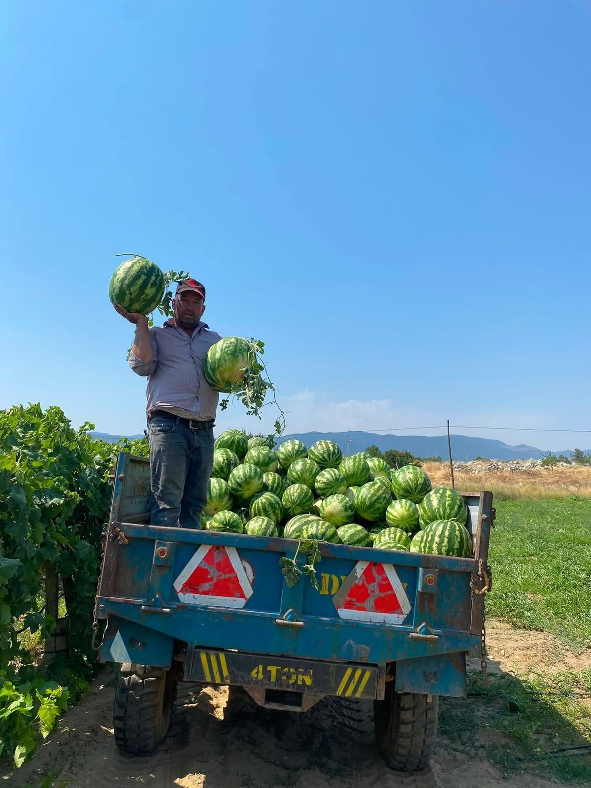 Tarlada Para Etmeyen Karpuzu Pazarda Kendisi Satıyor (1)