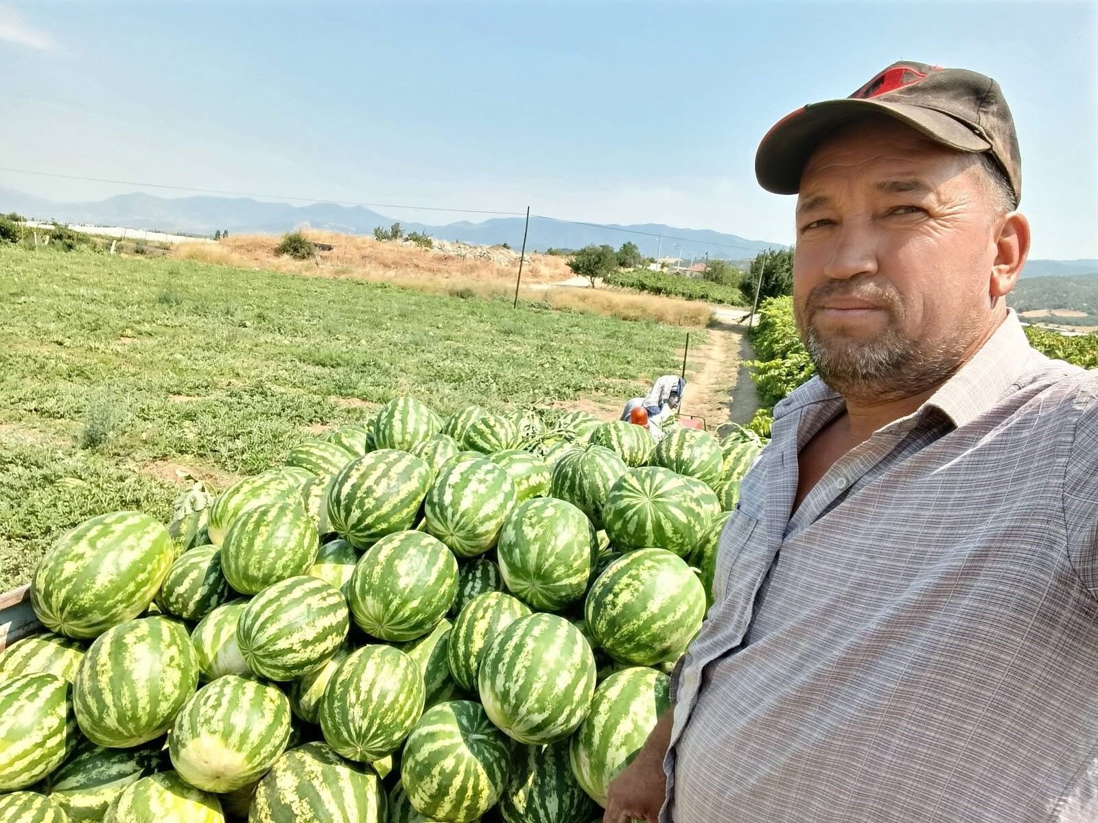 Tarlada Para Etmeyen Karpuzu Pazarda Kendisi Satıyor (3)