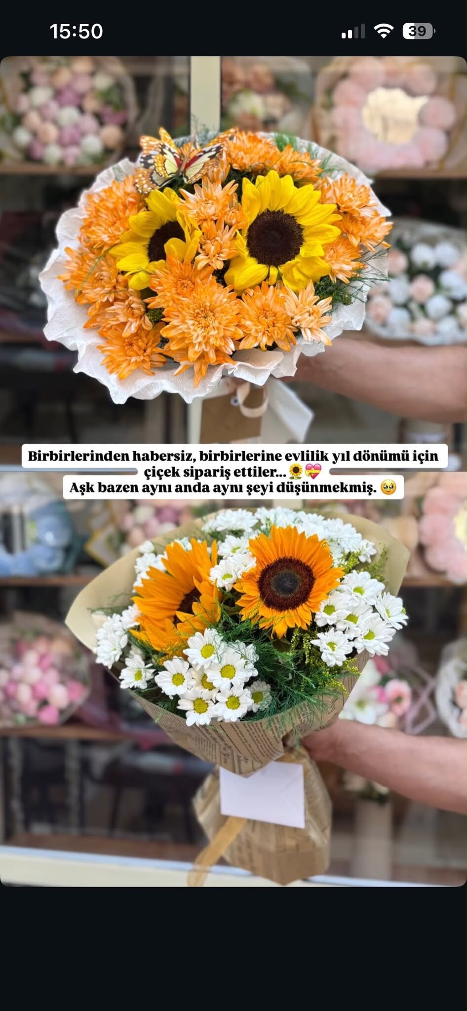 Whatsapp Image 2026 08 14 At 17.15.02 (1)