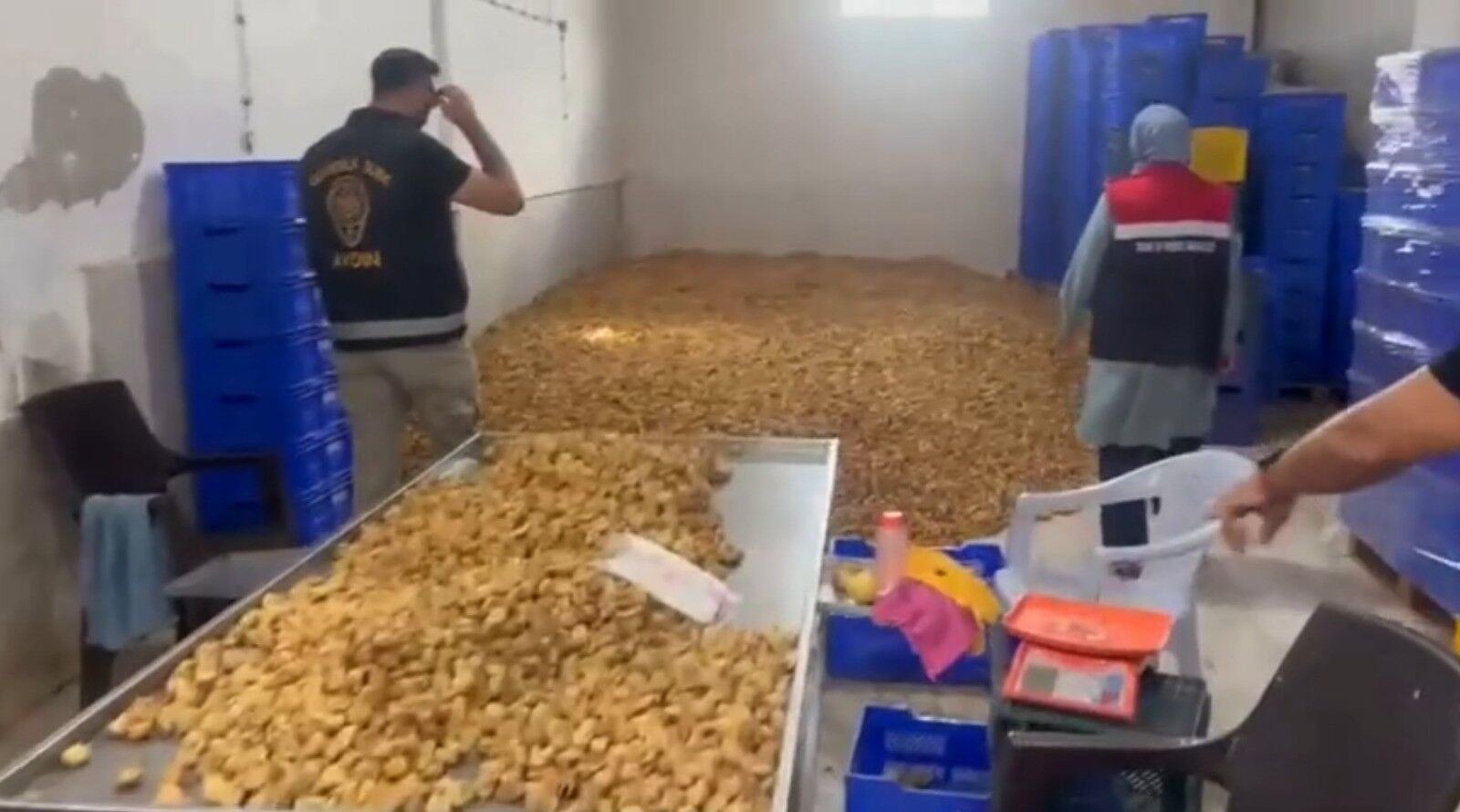 Köşk'te 20 milyon TL değerinde 25 ton etiketsiz kuru incir ele geçirildi