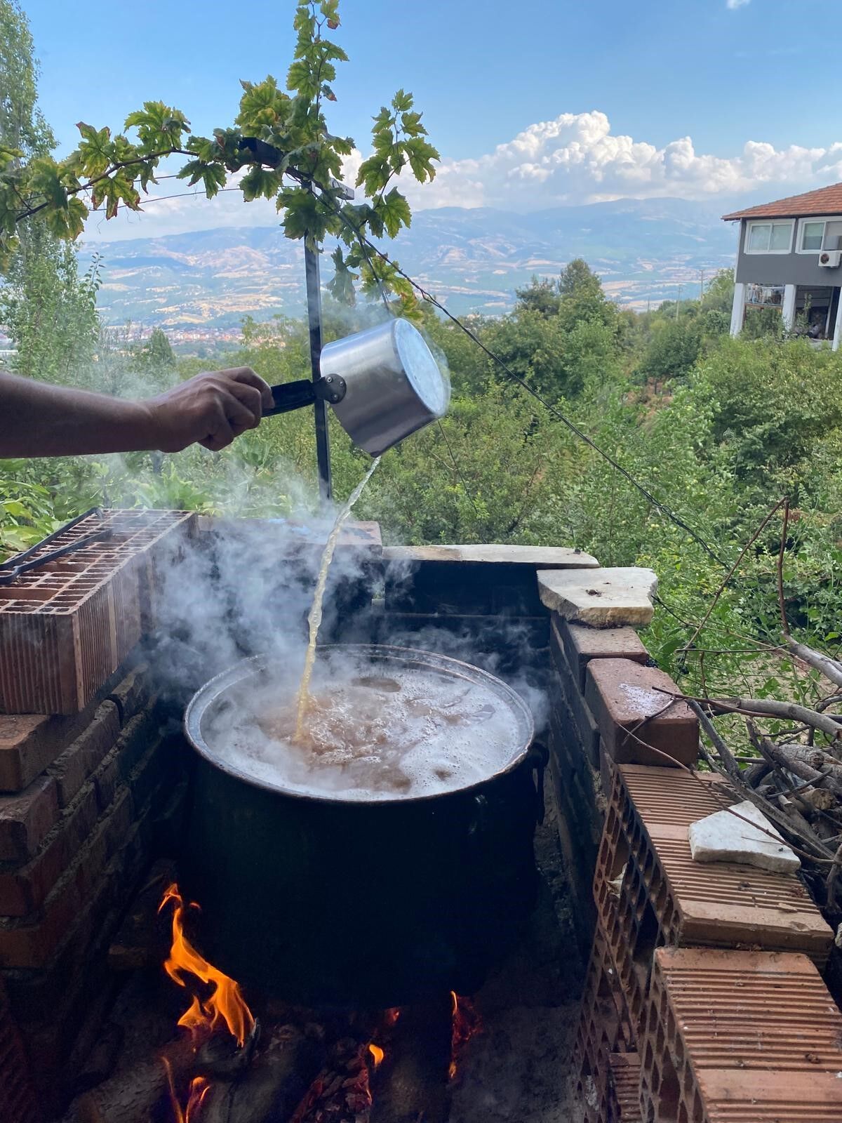 Aydın’da Pekmez Mesaisi Başladı (1)