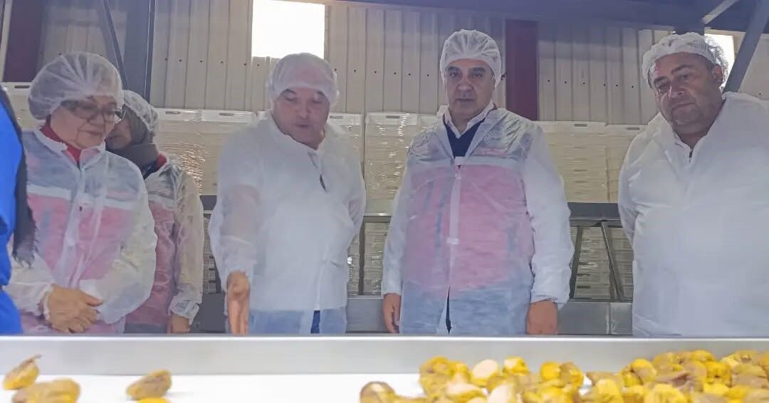 Aydın’ın Sarı Altını Incir Için Denetimler Sıklaştırıldı (5)