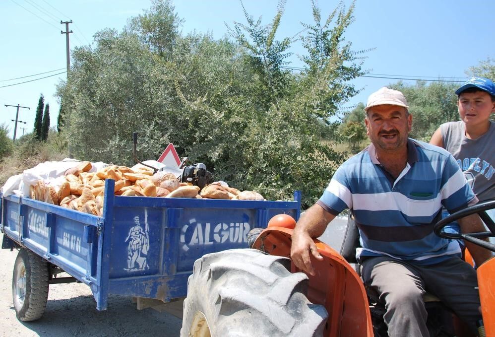 İnsanlar aç kalmasın diye üretiliyor, hayvan yemi olarak satılıyor