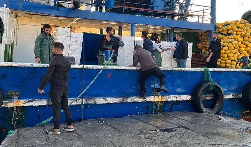 Didim’de Hamsi Denetimi (3)