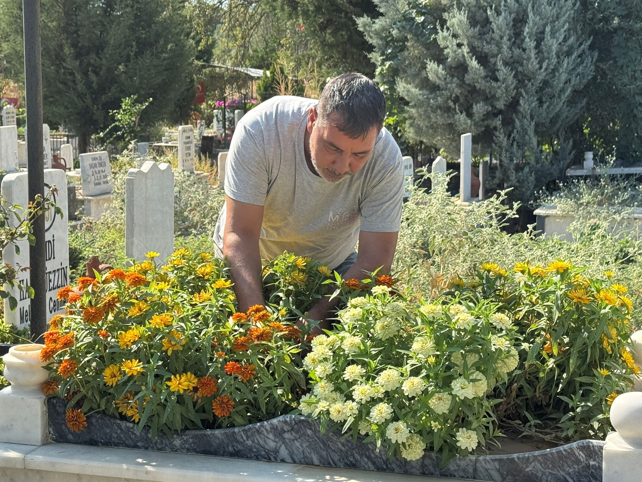 Whatsapp Image 2026 09 03 At 11.53.02 (1)